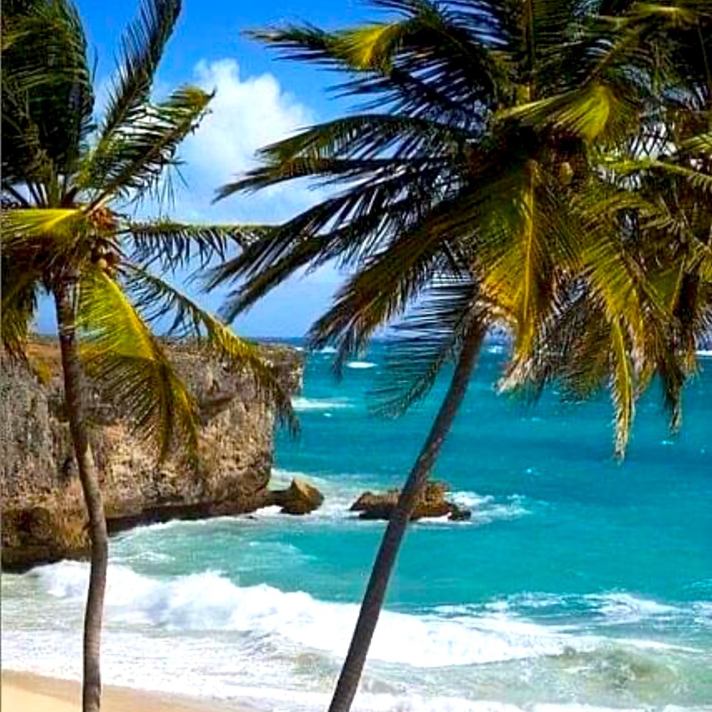 Meet your Posher, Dakine27